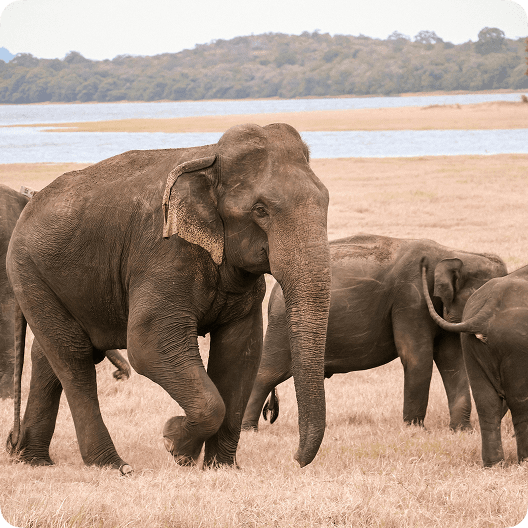 second column top left image