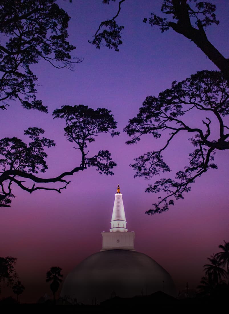 Sri Lanka experience