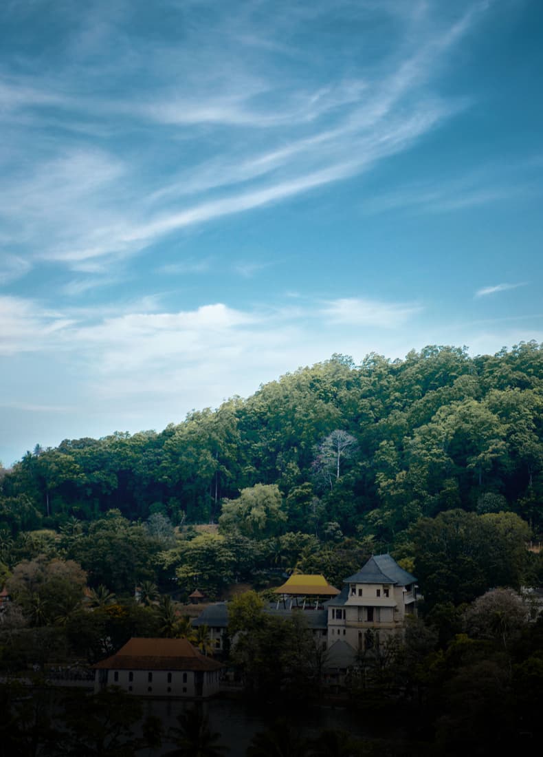 Sri Lanka experience